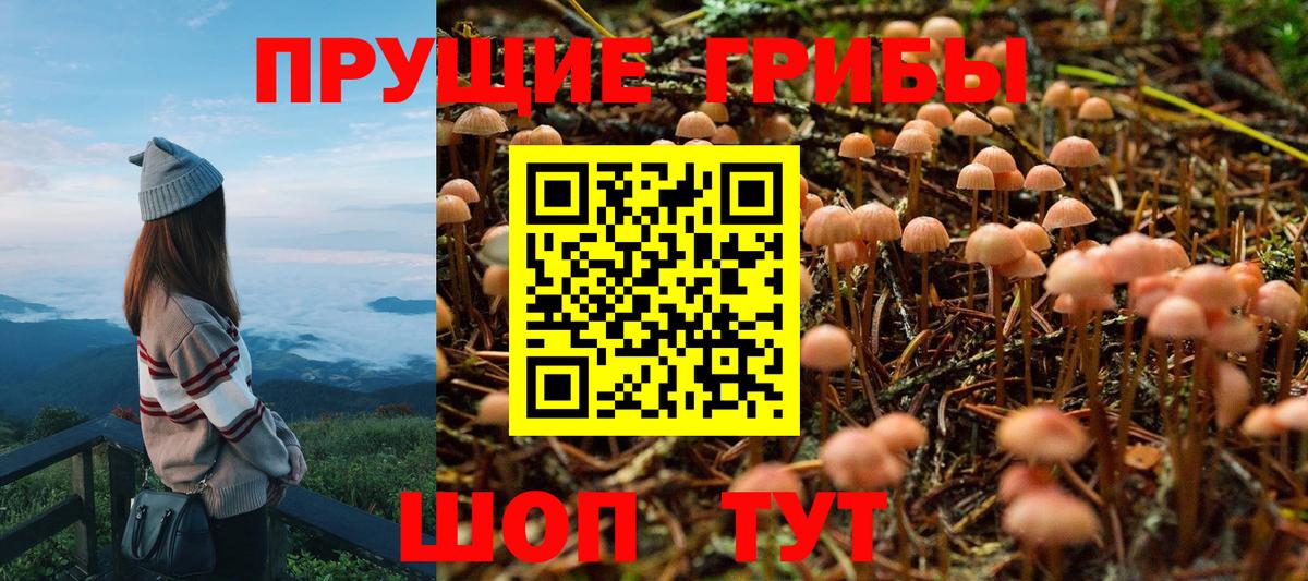 Псилоцибиновые грибы MAGIC MUSHROOMS Ставрополь