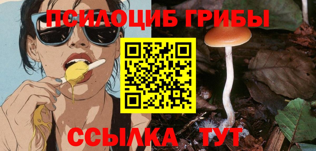 Ставрополь  Галлюциногенные грибы Cubensis  Псилоцибиновые грибы мухоморы  Вход с VPN 